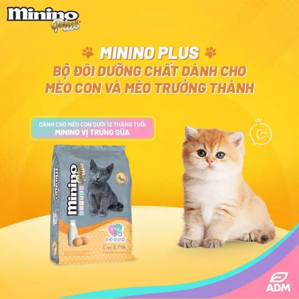 Hạt cho mèo minino plus kitten