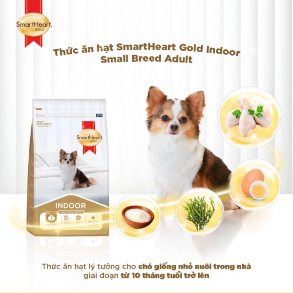 Hạt cho chó smartheart indoor aduilt small breed
