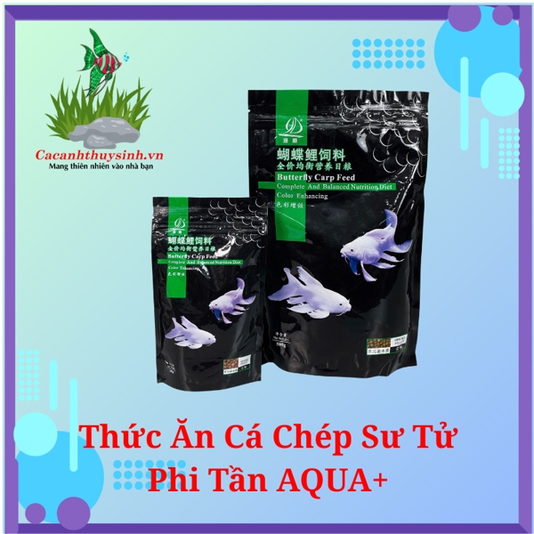 THỨC ĂN CÁ CHÉP SƯ TỬ, PHI TẦN AQUA+ 500mg - HẠT CHÌM 3.5mm