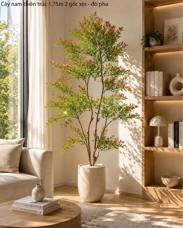Cây nam thiên trúc 1,75m 2 gốc - đỏ pha - Cây - Hoa Lụa Vân Vượng