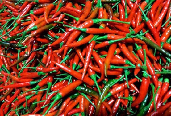 Ớt Tươi 100G