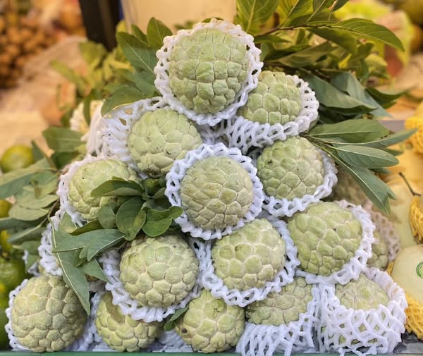 Mãng Cầu Vũng Tàu