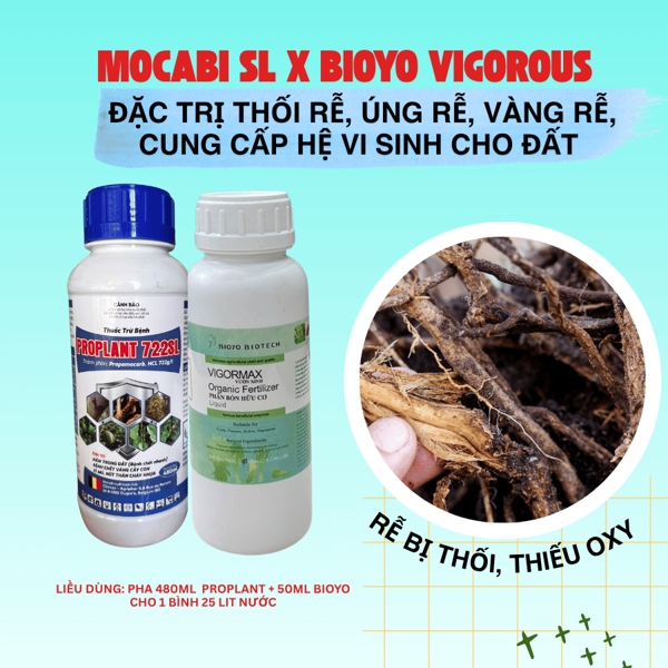 Proplant + Bioyo - Đặc trị thối rễ, vàng rễ, cung cấp hệ vinh sinh cho đất