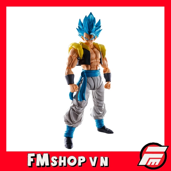 (2ND-Ố PHẦN GIỮA QUẦN VÀ ĐẦU GỐI) SHF SUPER SAIYAN GOD GOGETA