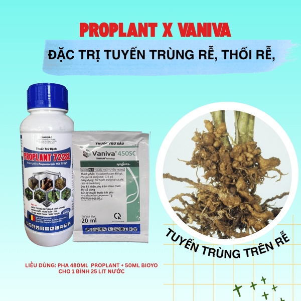 Proplant x Vaniva - Đặc trị tuyến trùng, sưng rễ, thối rễ