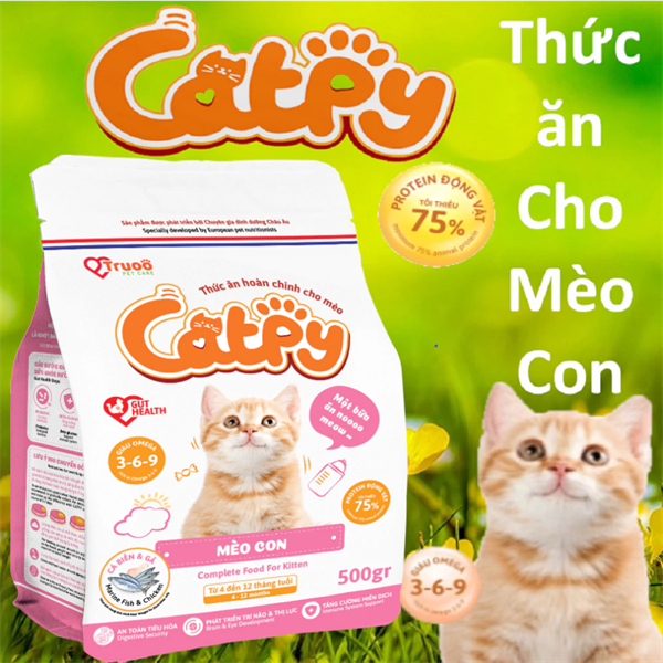 Hạt cho mèo Catpy