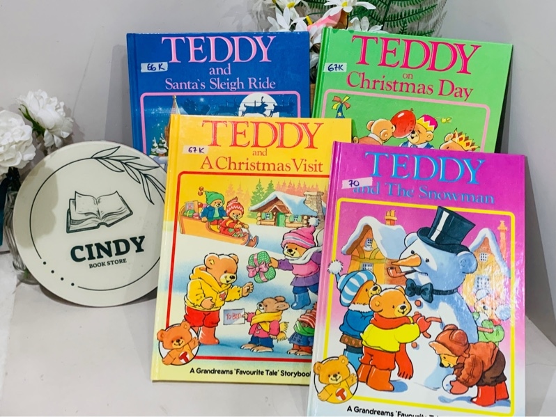 Teddy and santa’s sleigh ride