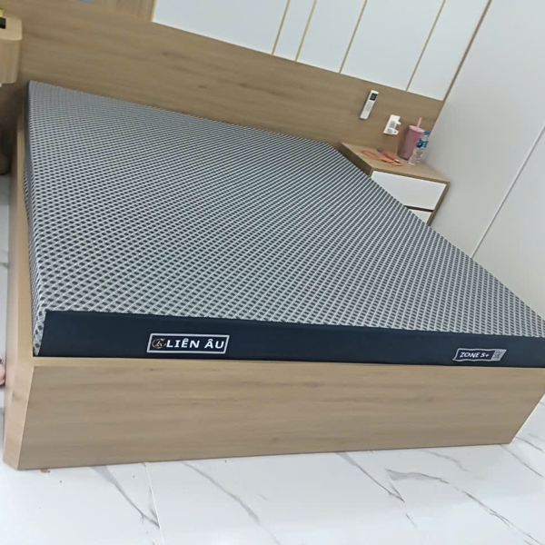 Nệm foam liên âu zone 5+