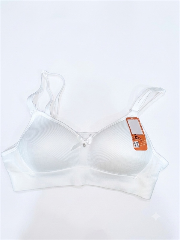 Áo học sinh 0309