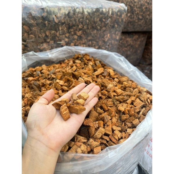 DỪA CỤC