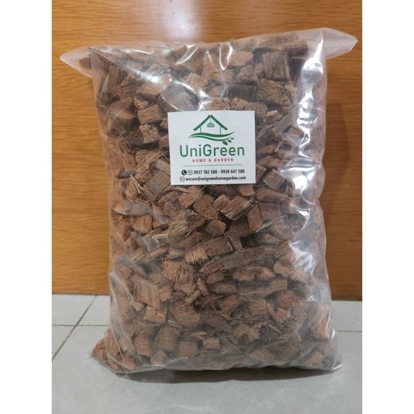 DỪA CỤC TÚI