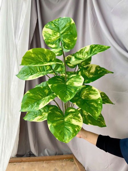 Cây 18 lá - đốm trắng - Cây - Hoa Lụa Vân Vượng