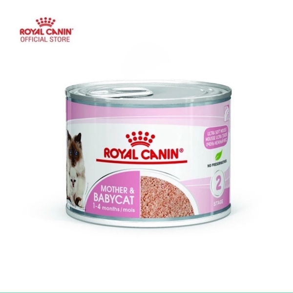 Pate lon cho mèo Royal canin mother and babycat
