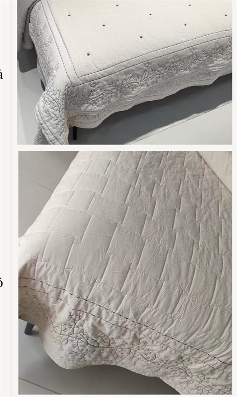 Bộ ga “ Phồn Diệp” | Cotton Linen - Viền cây dây leo, thêu sao nhí - Ga kẻ - JF24.1