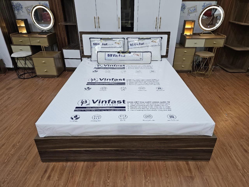 Nệm CS Vin Fast white blues
