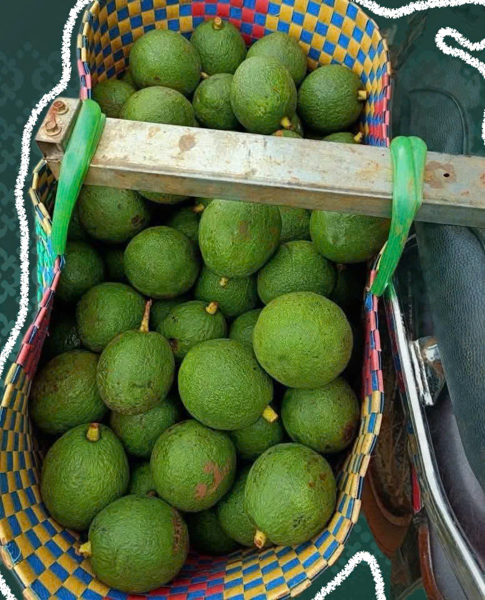 Combo 4kg Bơ Ta21