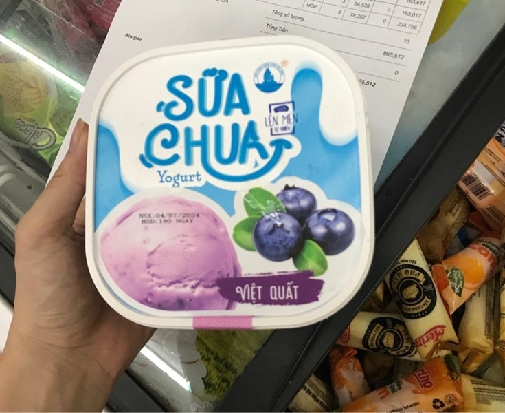 Sữa Chua Đông Lạnh Vị Việt Quất Hộp 900ml