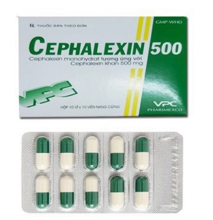 CEPHALEXIN 500 V/10 H/100 T/10000