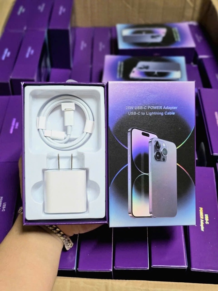 25W USB-C POWER Adapter USB-C to Lightning Cable