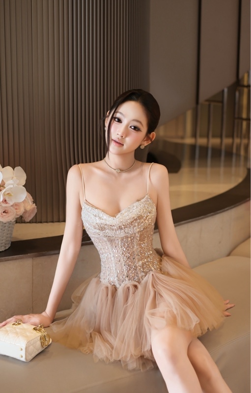 Đầm lưới xoè múi kim sa 8317