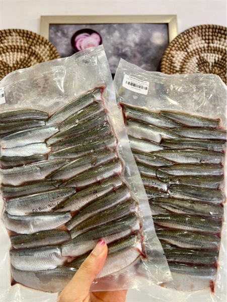 CÁ TRÍCH bỏ đầu đuôi
