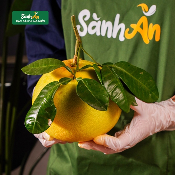 Bưởi Phúc Trạch Hà Tĩnh Size ~1kg