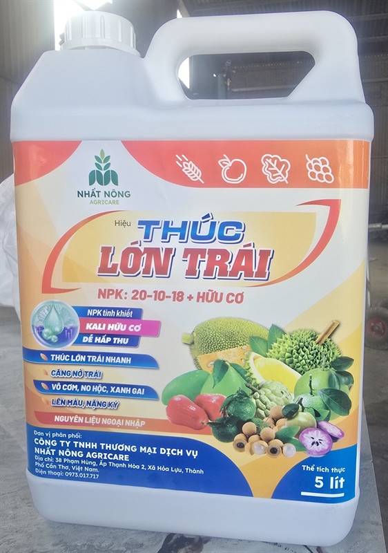 THÚC LỚN TRÁI CAN 5 LÍT