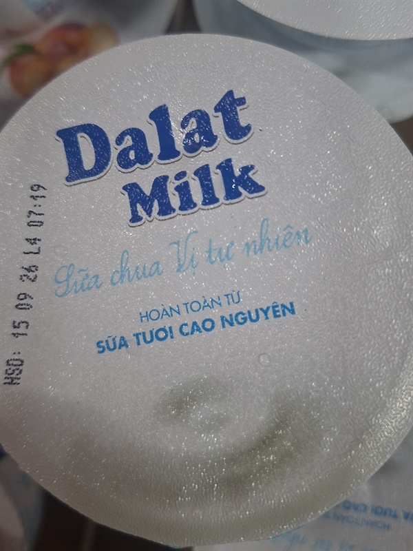 Sữa chua Thanh trùng Dalatmilk không đường hộp 100g