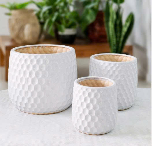 CHẬU BOM TỔ ONG SÔI TRẮNG