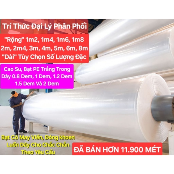 CAO SU TRẮNG 6M