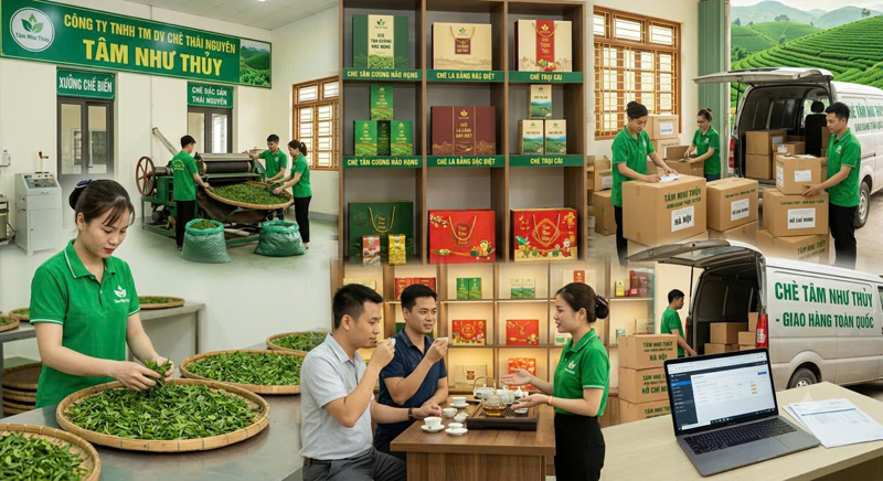 Profile hợp tác giữa Tâm Như Thủy & 365 Group
