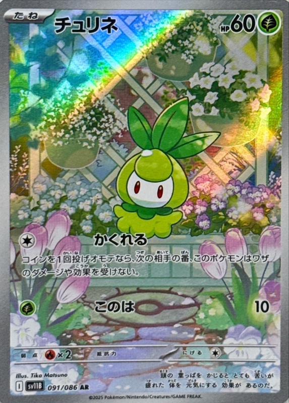 SV11B 091 AR