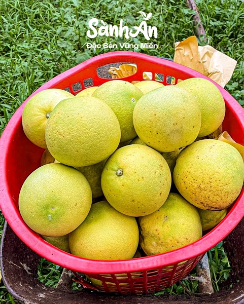 Combo 10 quả bưởi Phúc Trạch