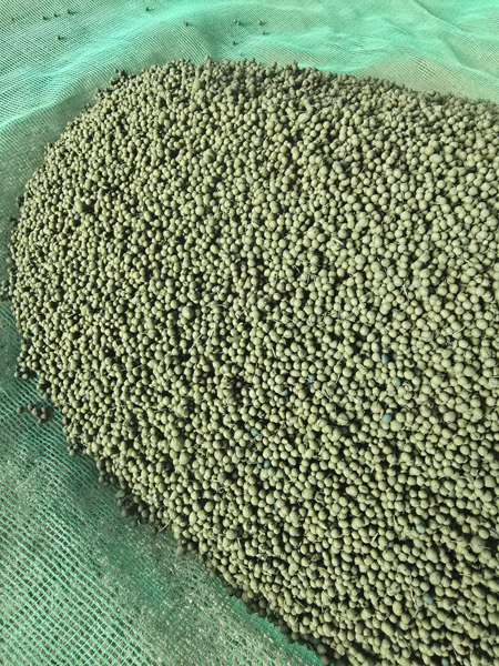 Phân bón hữu cơ Sinh học - CHIM YẾN platinum