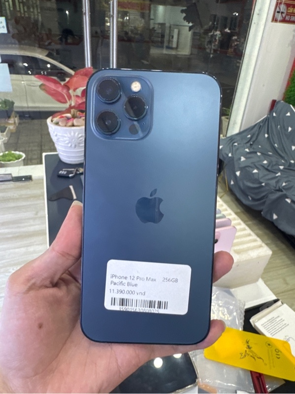 Ip 12 pm 256gb xanh