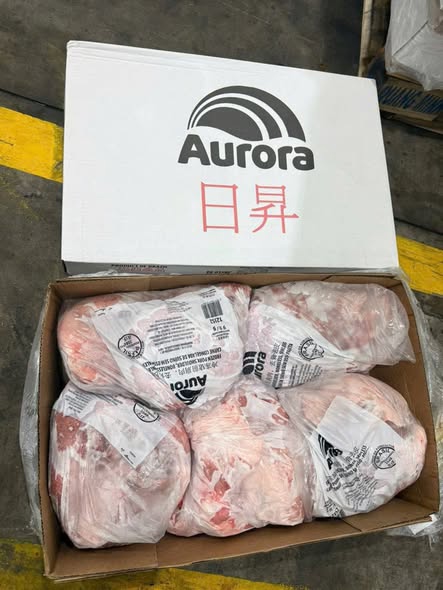 Nạc vai Aurora ( mã cân)