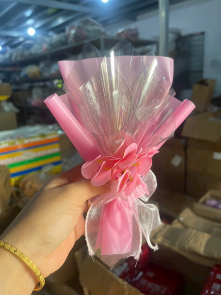 Bó hoa mica tiền