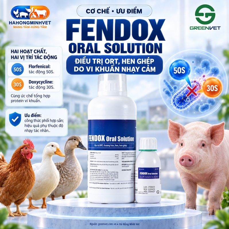 Fendox Oral Solution 1L