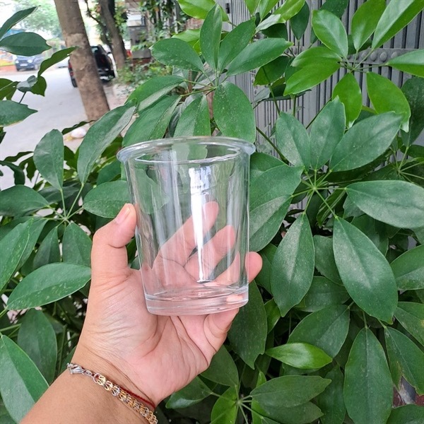 Cốc thủy tinh 360ml - GLC360125