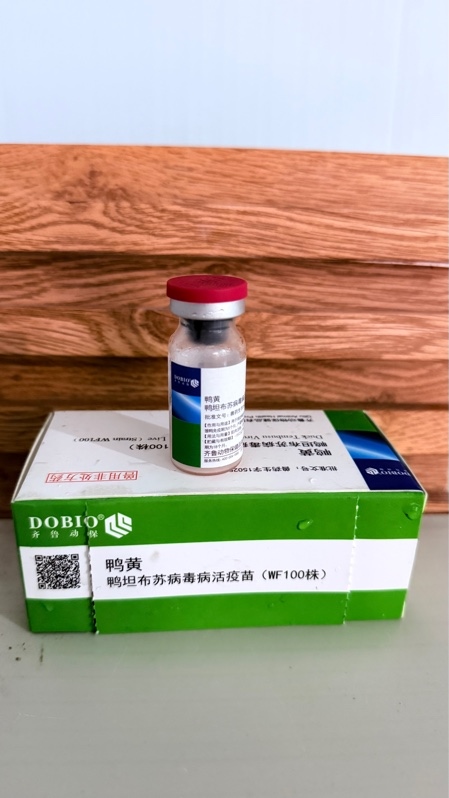 #BB-TEMBUSU SỐNG DOBIO (1000DS)
