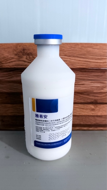 #BB ECOLI,BẠI HUYẾT RINGPU (250ml)