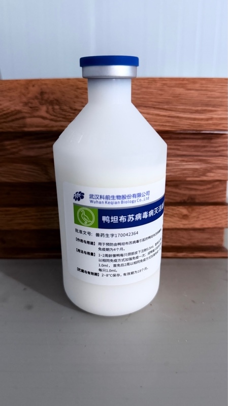 #BB TEM CHẾT WUHAN 250ml