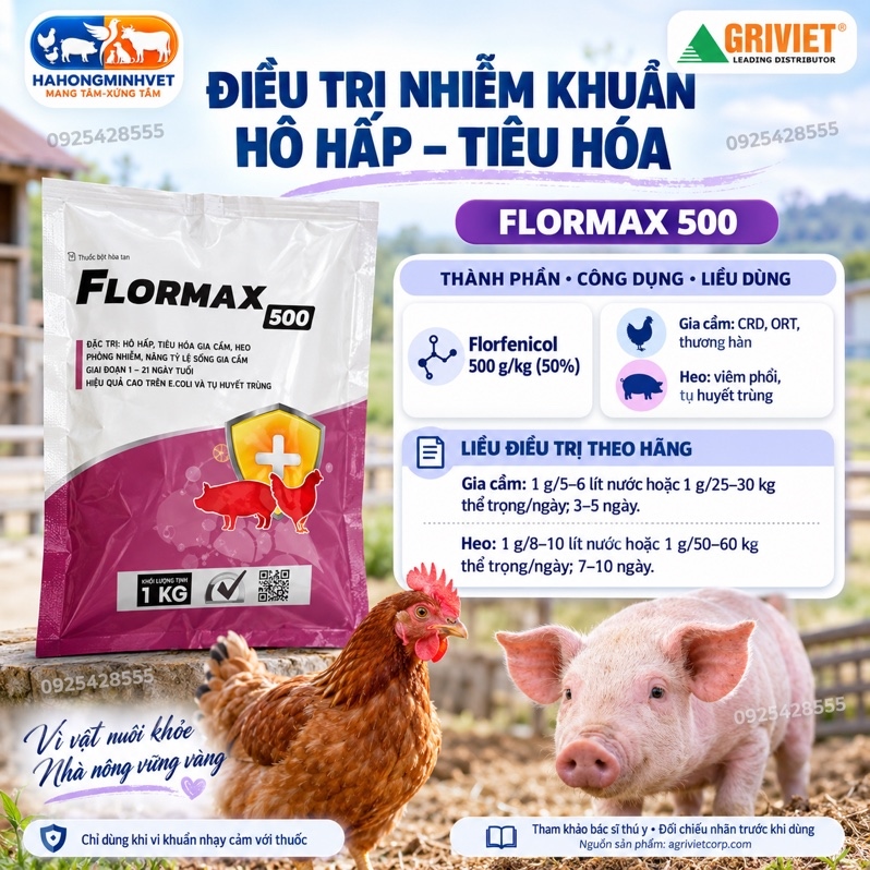 Thuốc thú y - Flormax 1kg