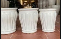 CHẬU BOM LÁ DỨA SỐ 1