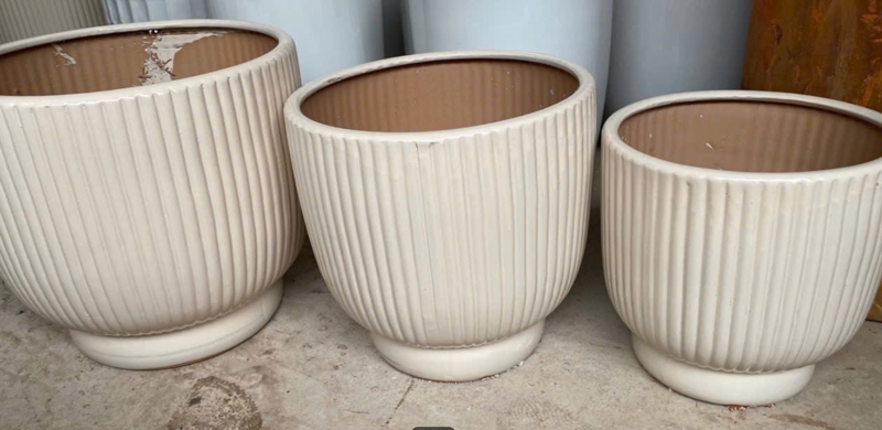 CHẬU BOM CỐC TĂM
