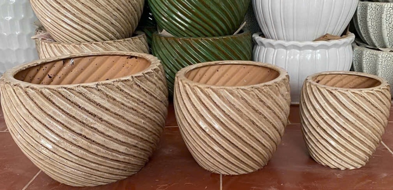BỘ 3 CHẬU BOM XOẮN VÀNG