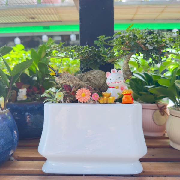 THÀNH PHẨM CẦN THĂNG CHIÊU TÀI