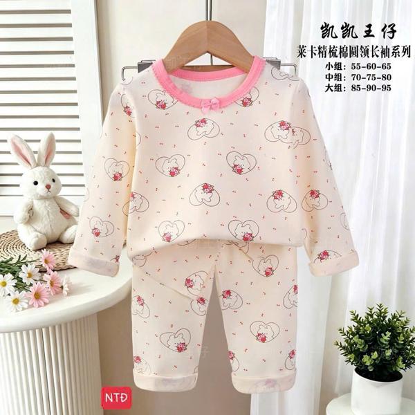 Bộ DT xuất hàn họa tiết (90-110)