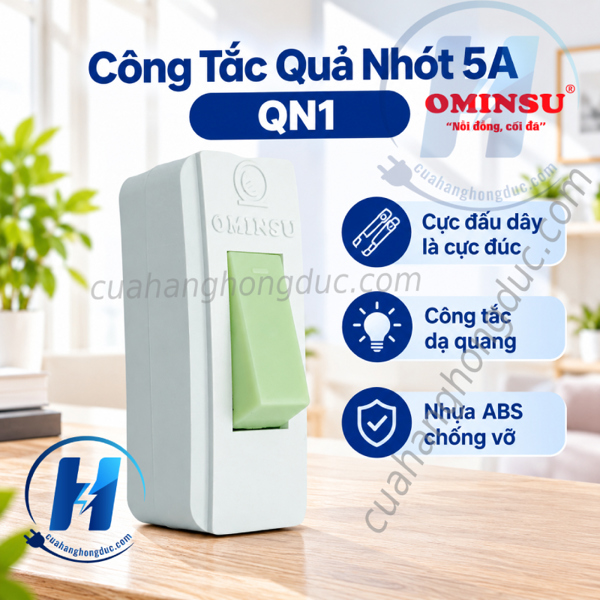 QN1-Công tắc quả nhót