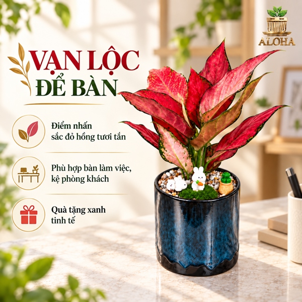 THÀNH PHẨM VẠN LỘC ĐỂ BÀN